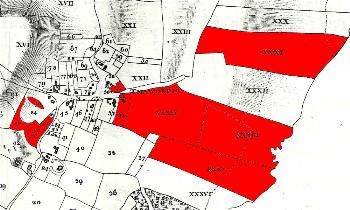 Bury Farm in 1804